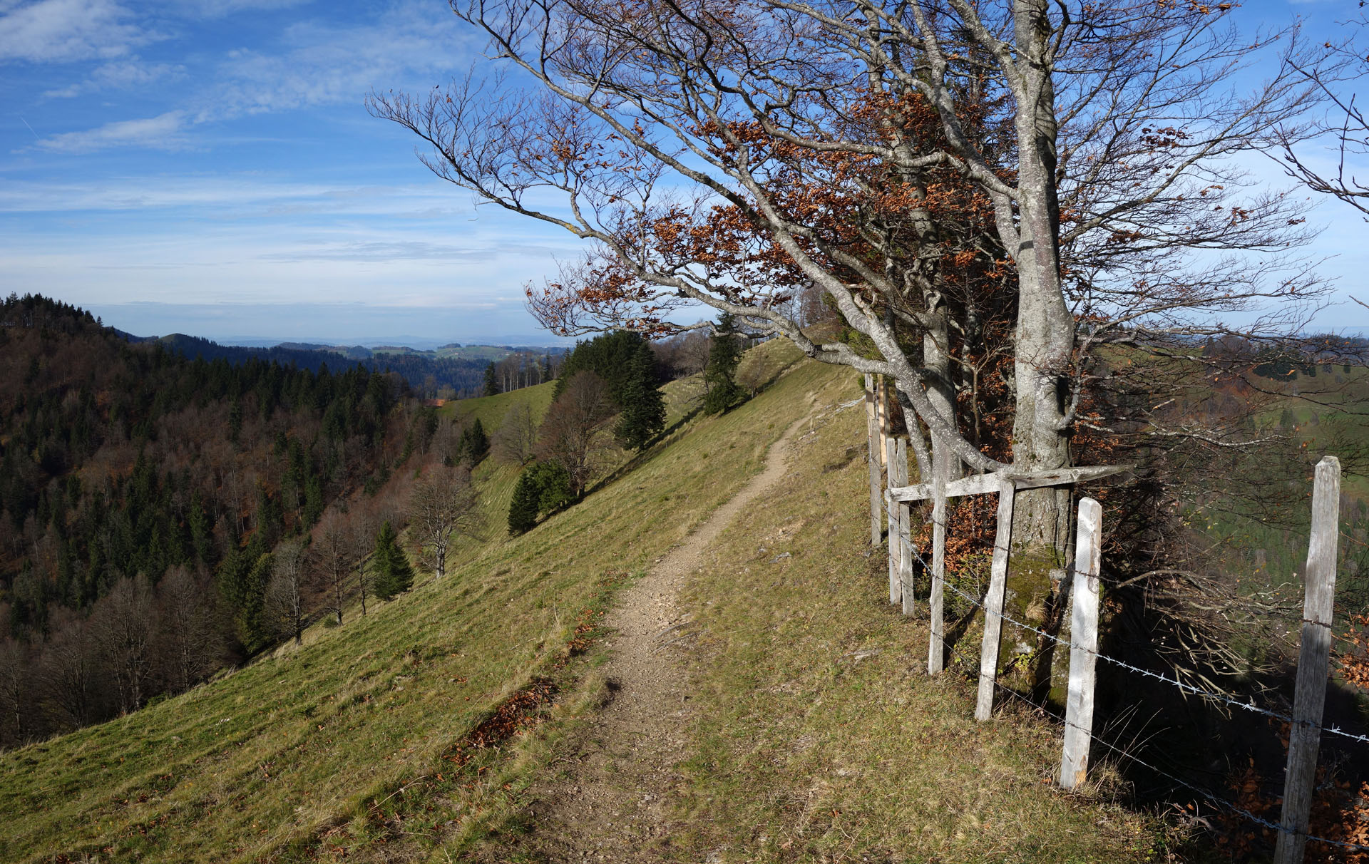 Wanderweg Schindelberghöchi