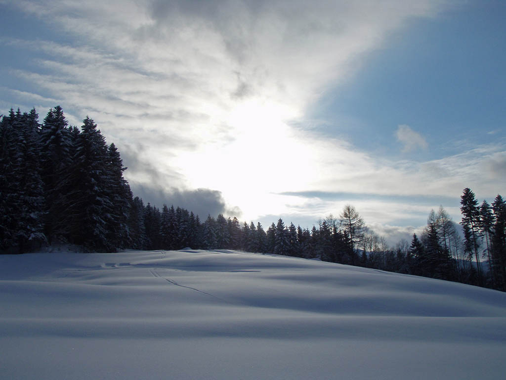 Neuschnee bei tiefer Sonne