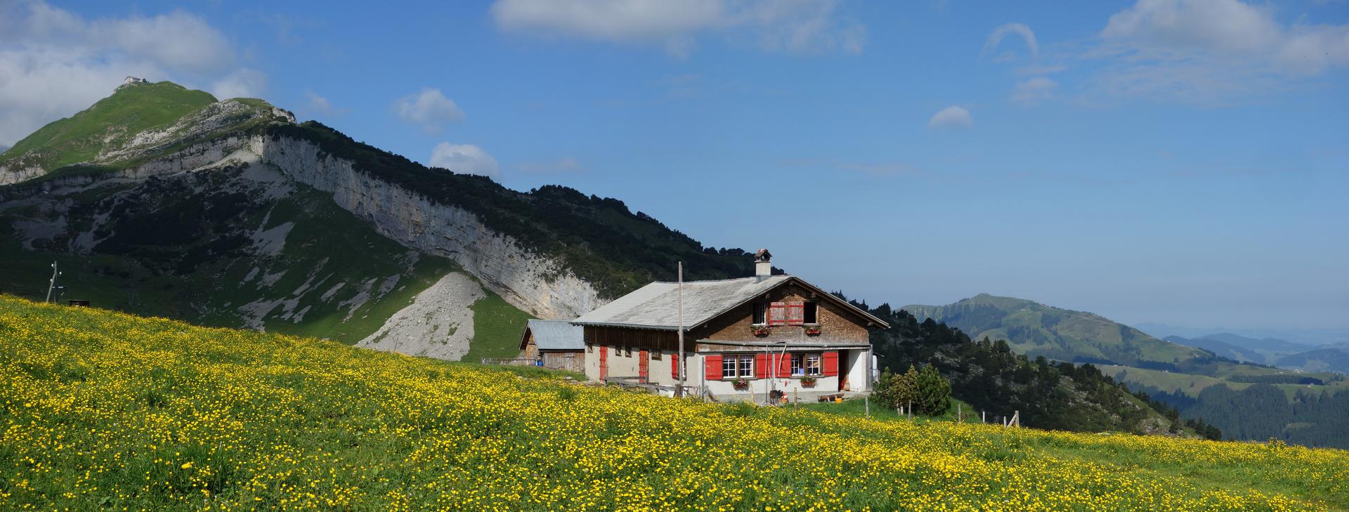 Blick von Ebenalp zum Schäfler