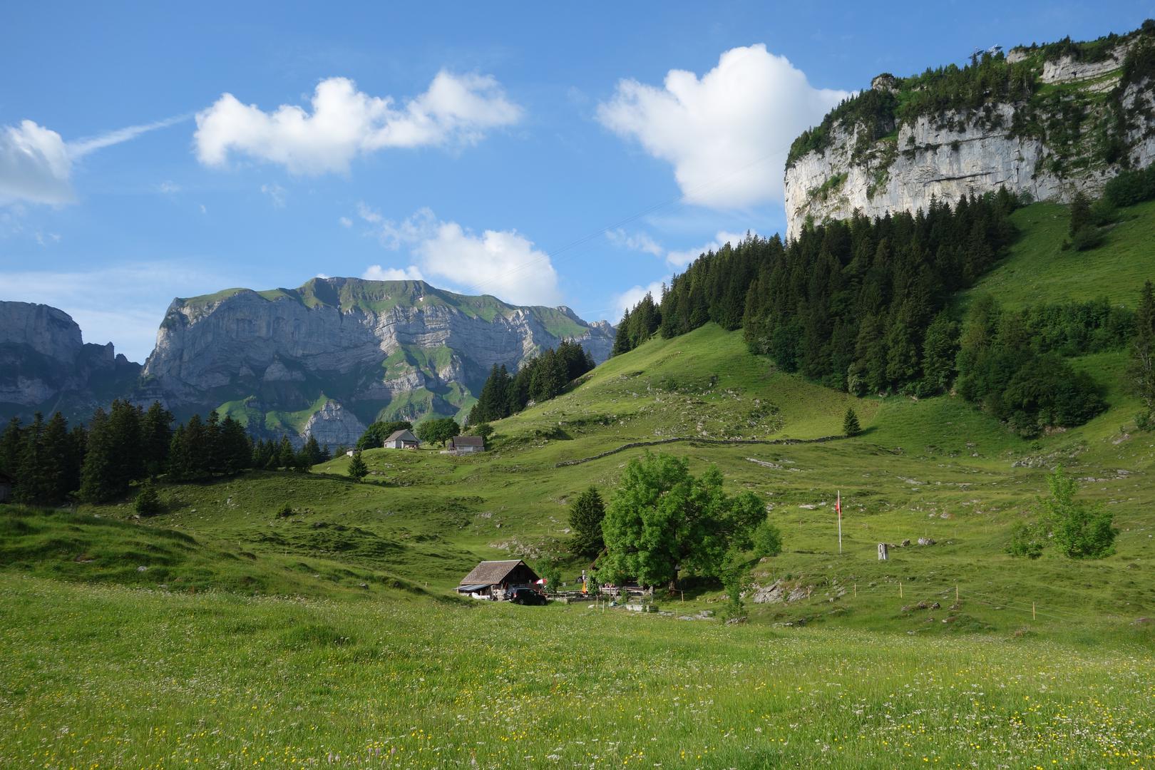 Idyllische Alp