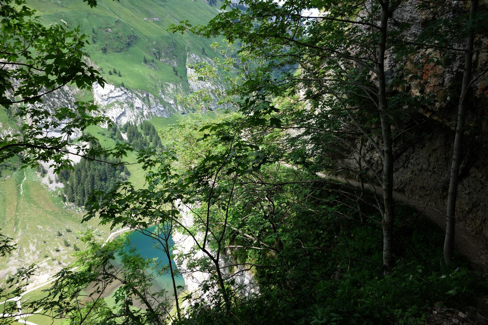 Steiler Abstieg zum Seealpsee