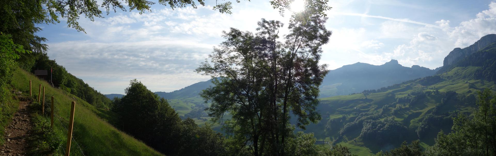 Wanderweg am Waldrand