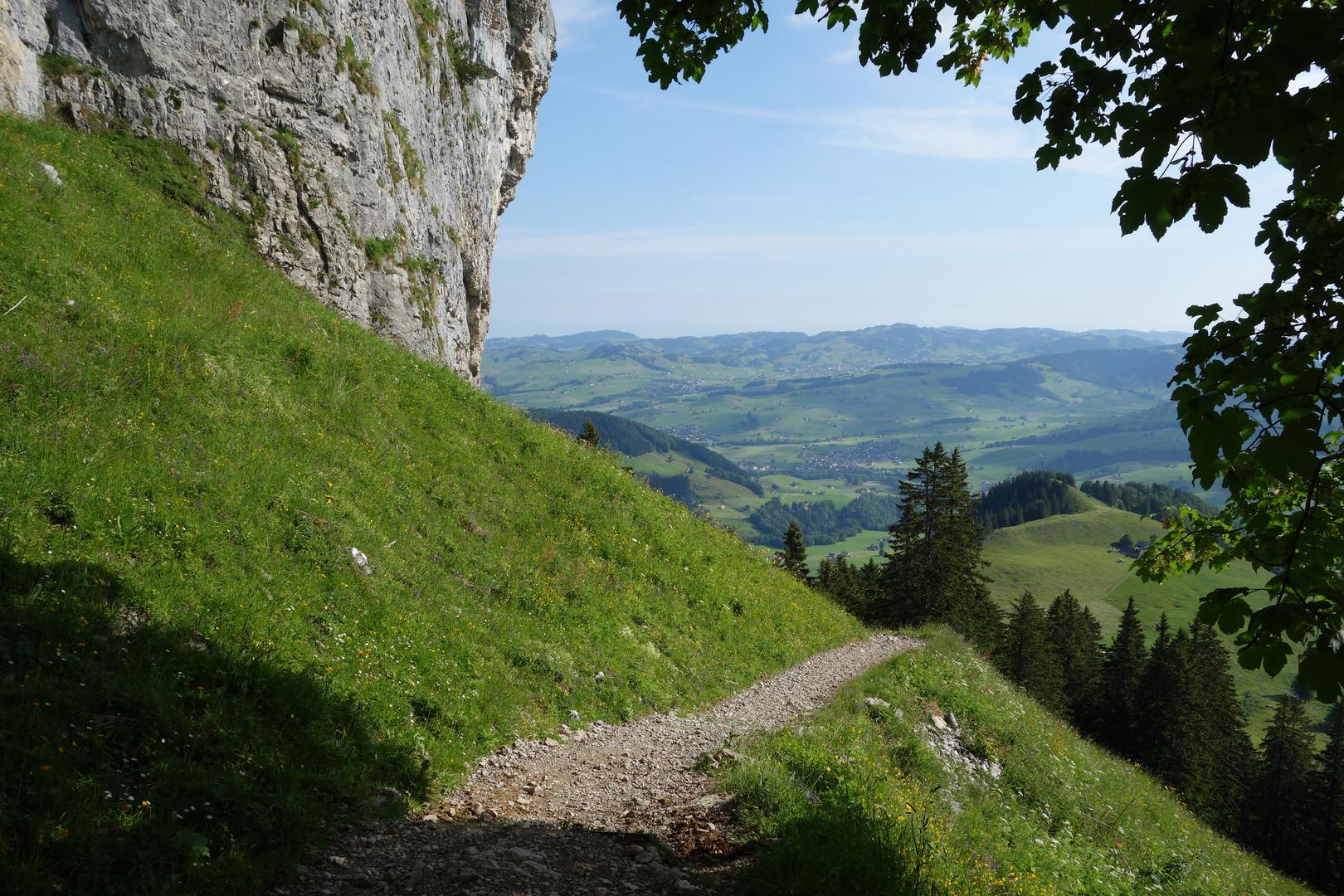 Wanderweg mit Blick ins Appenzeller Land