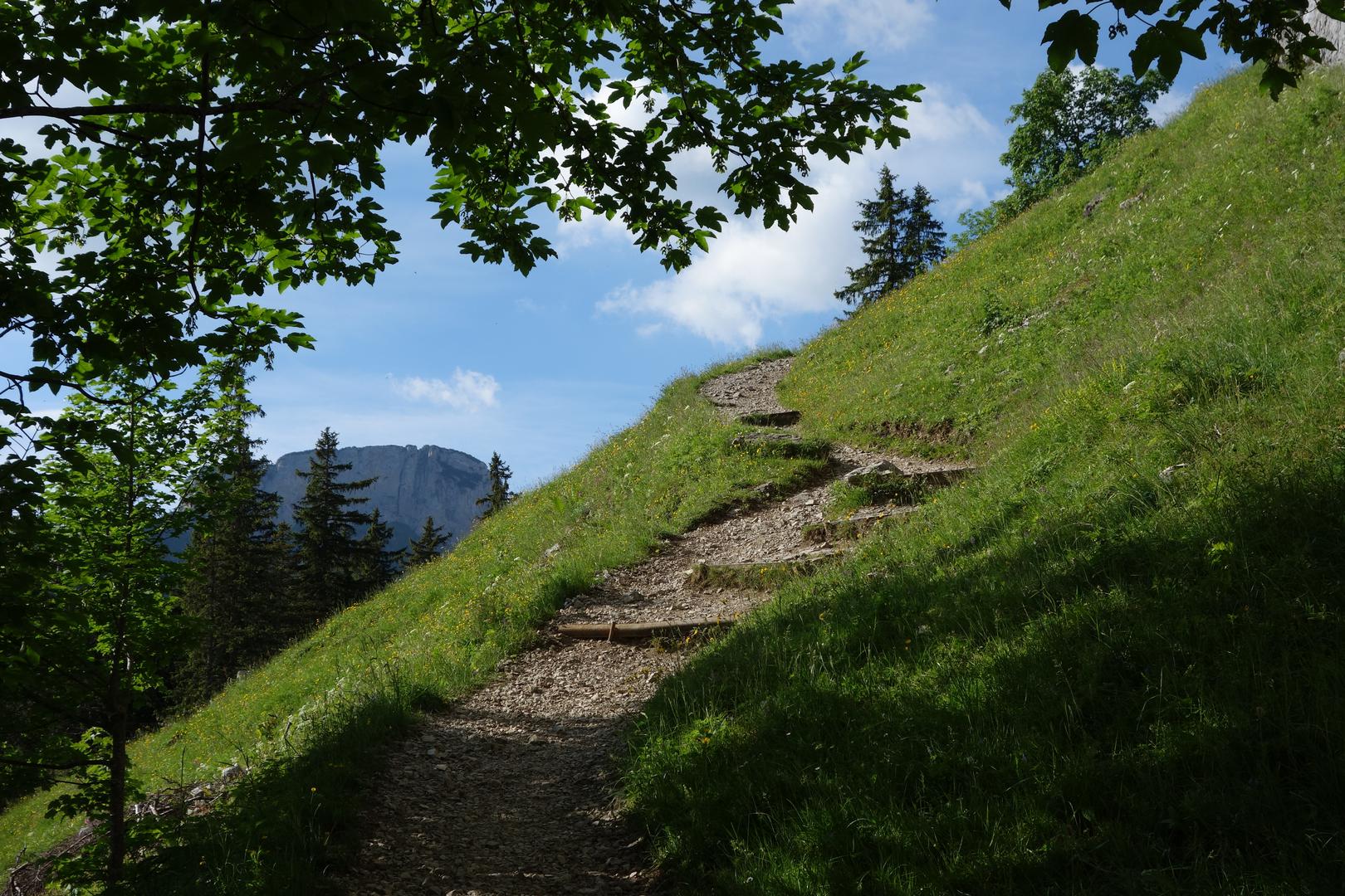 Wanderweg mit Holzstufen