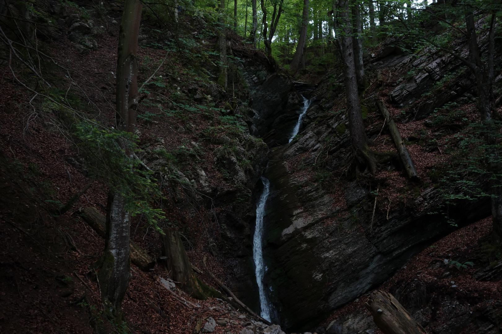 Wasserfall im Dunklen Wald