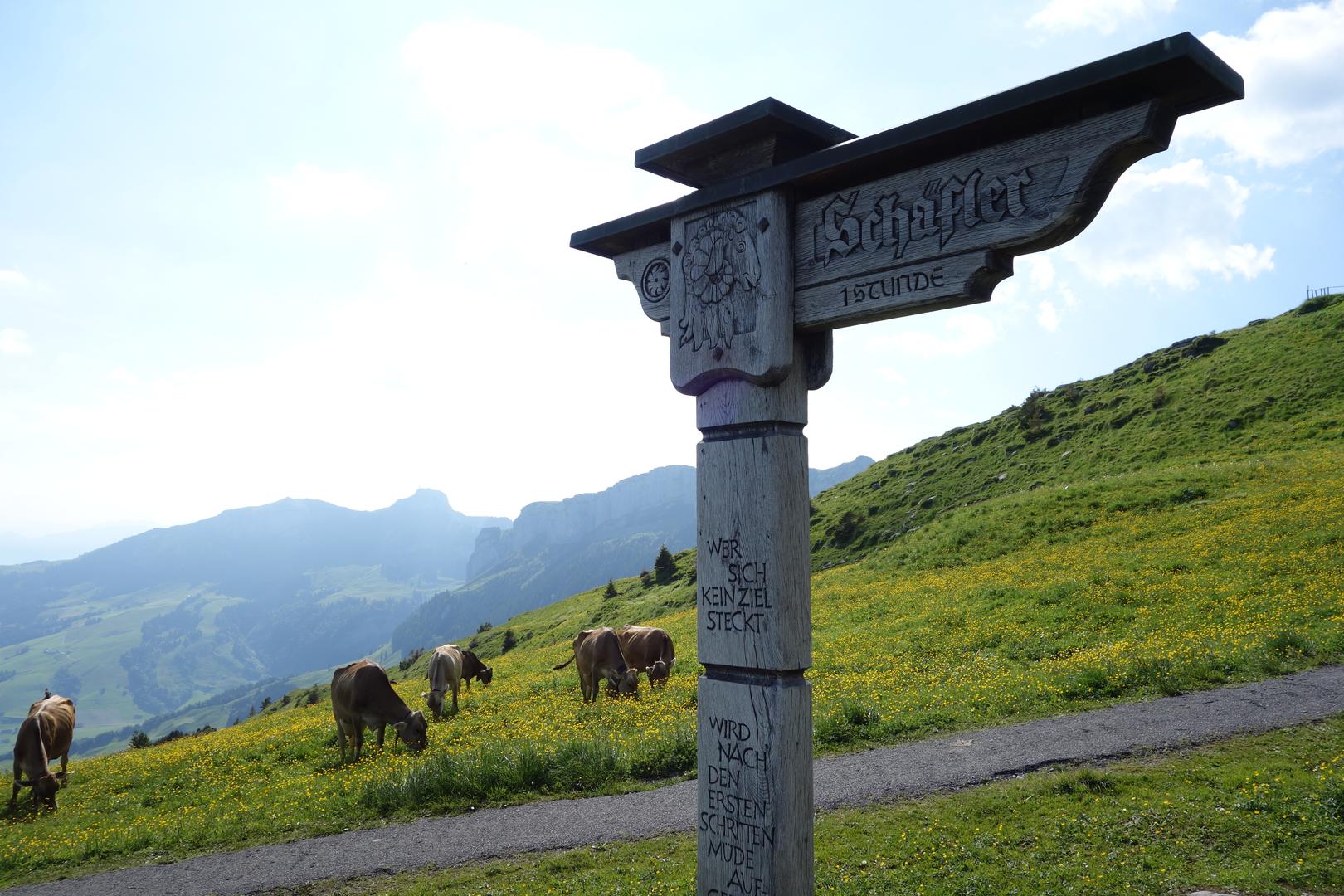 Wegweiser zum Schäfler