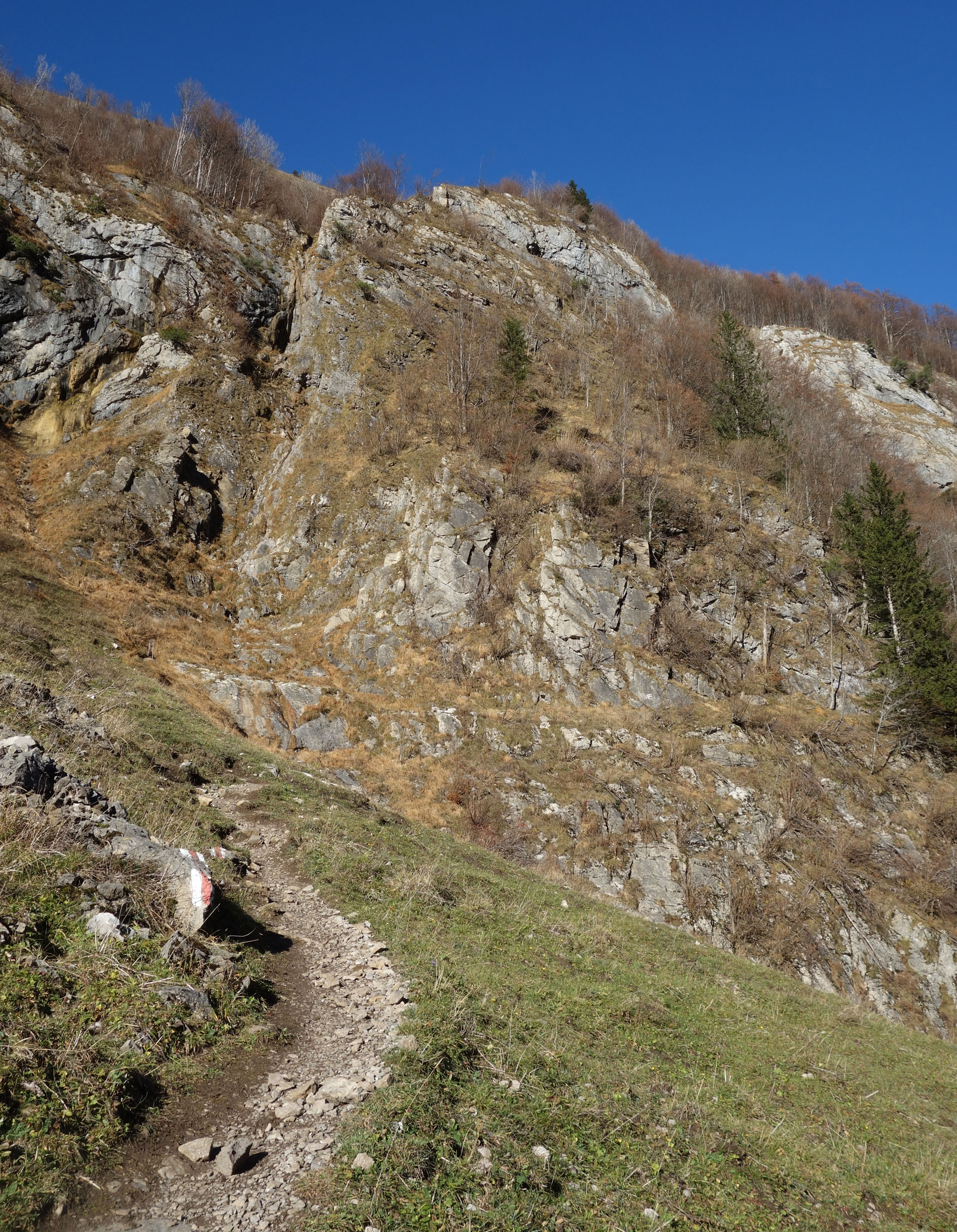 Steiler Weg Altenalp