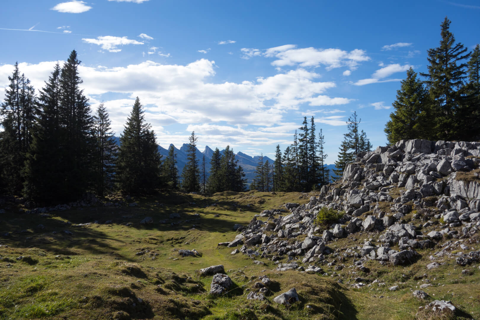 Bergwiese mit Felsen