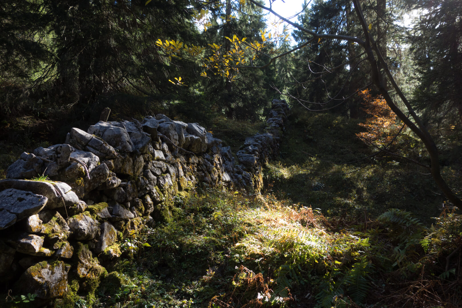 Verwunschene Mauer