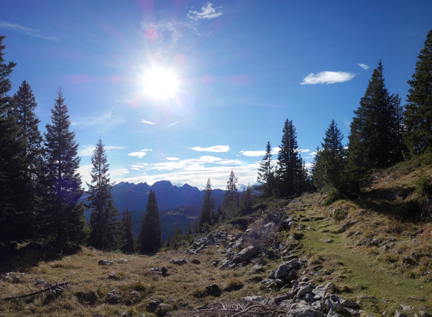 Wandern bei Sonnenschein