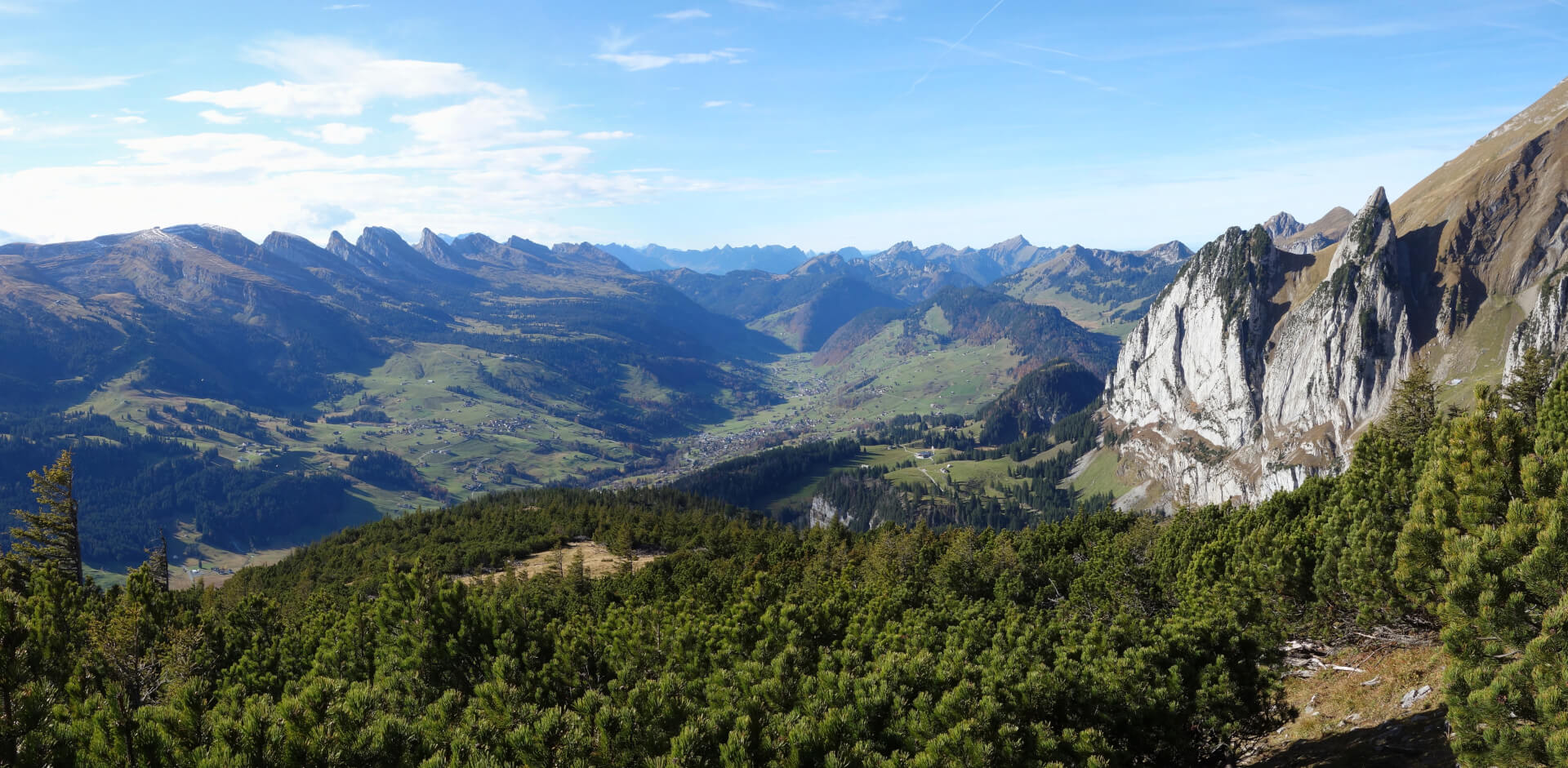 Weg durch Latschenkiefern