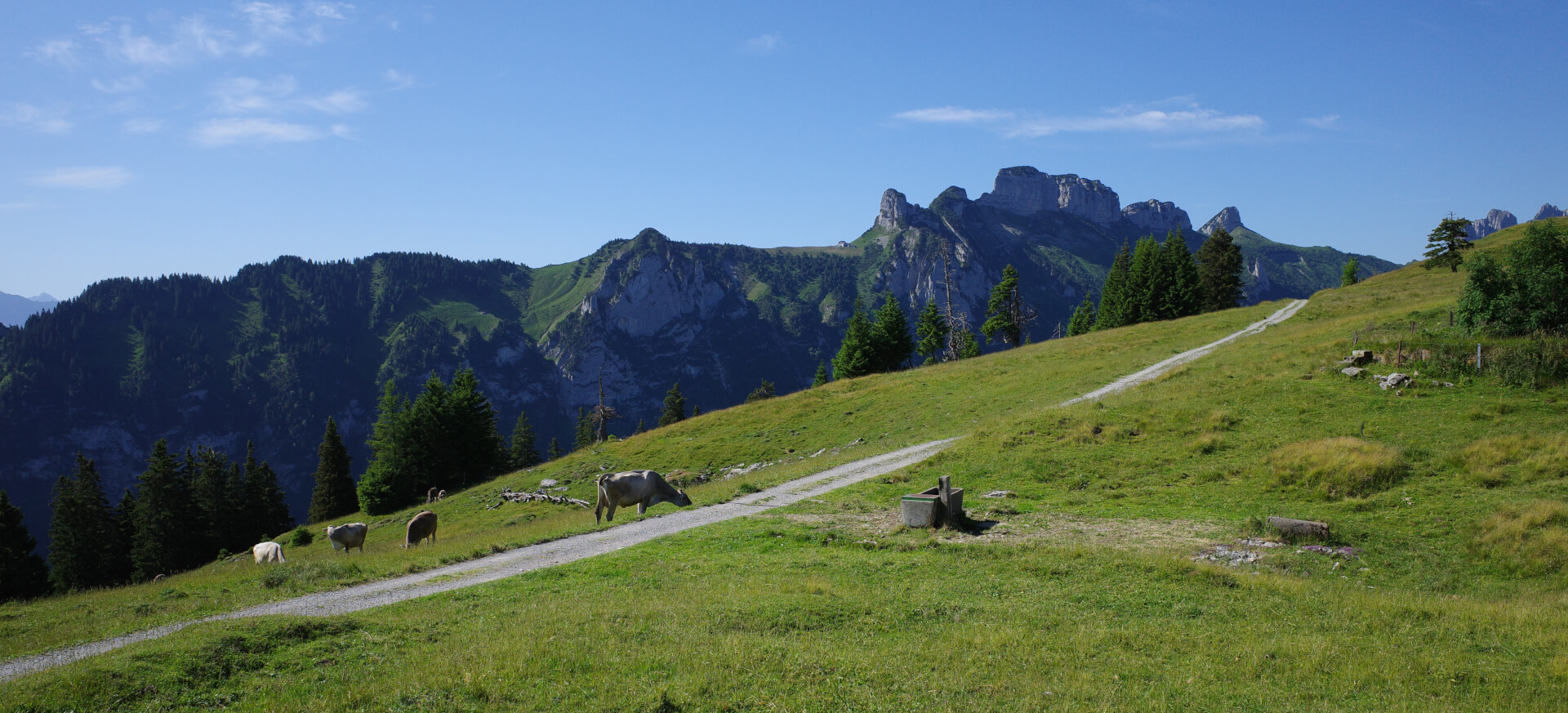 Spazierweg Alp Sigel