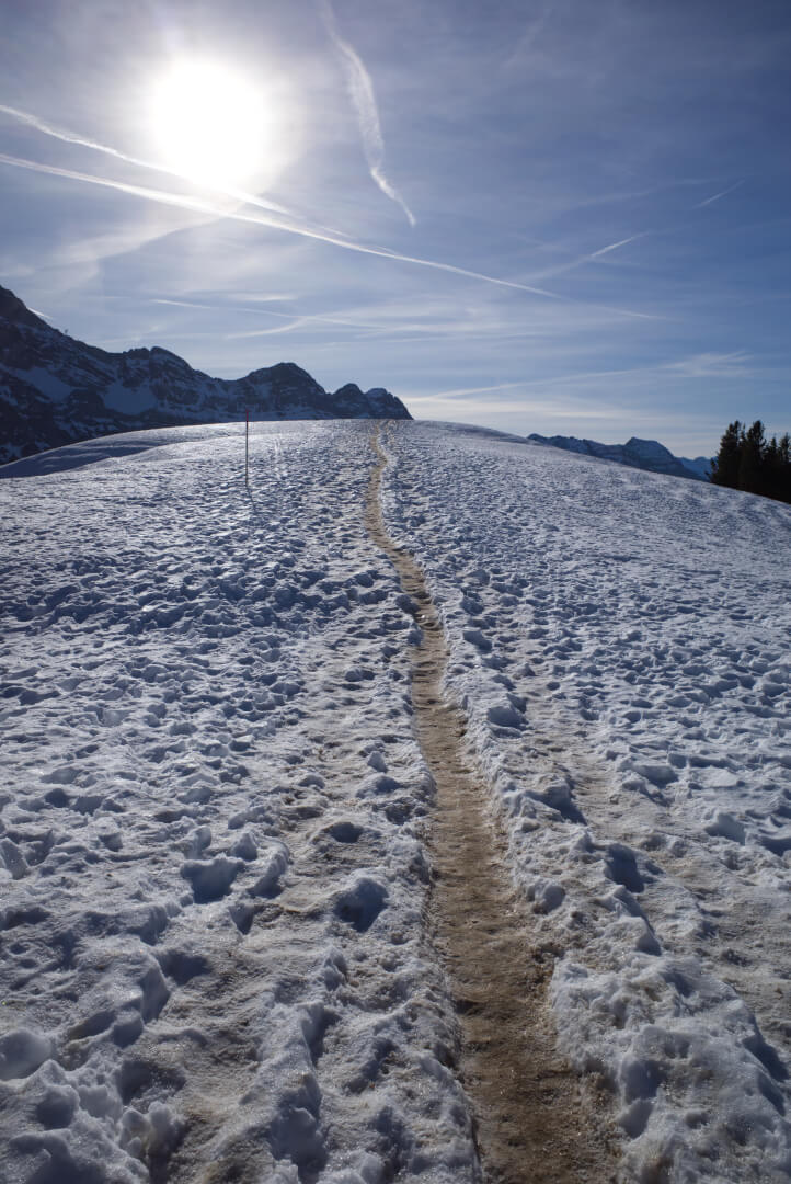 Spur im gefrorenen Schnee