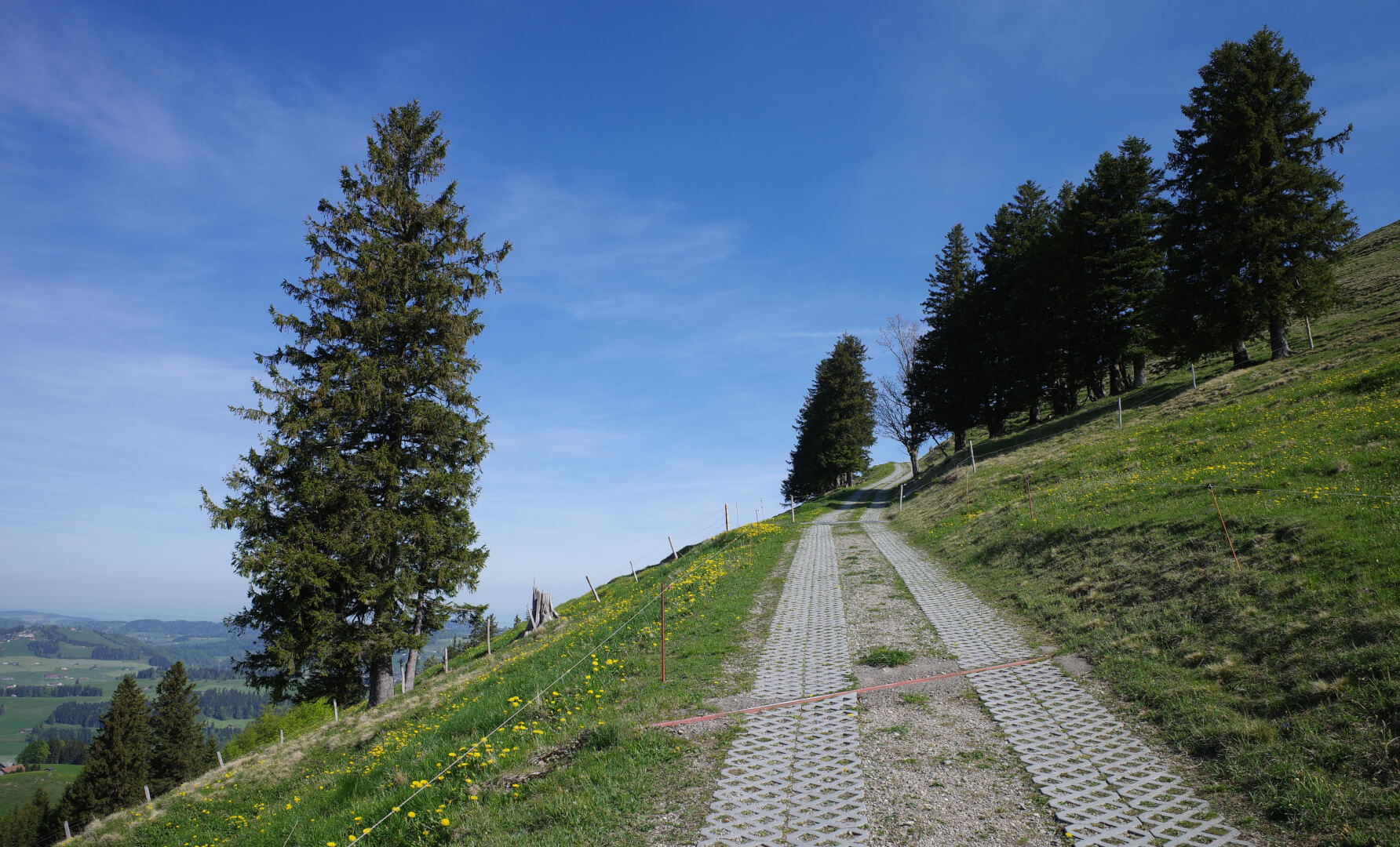 Alpweg