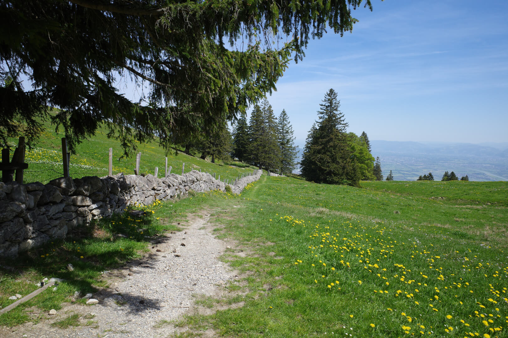 Mauer auf Zapfen