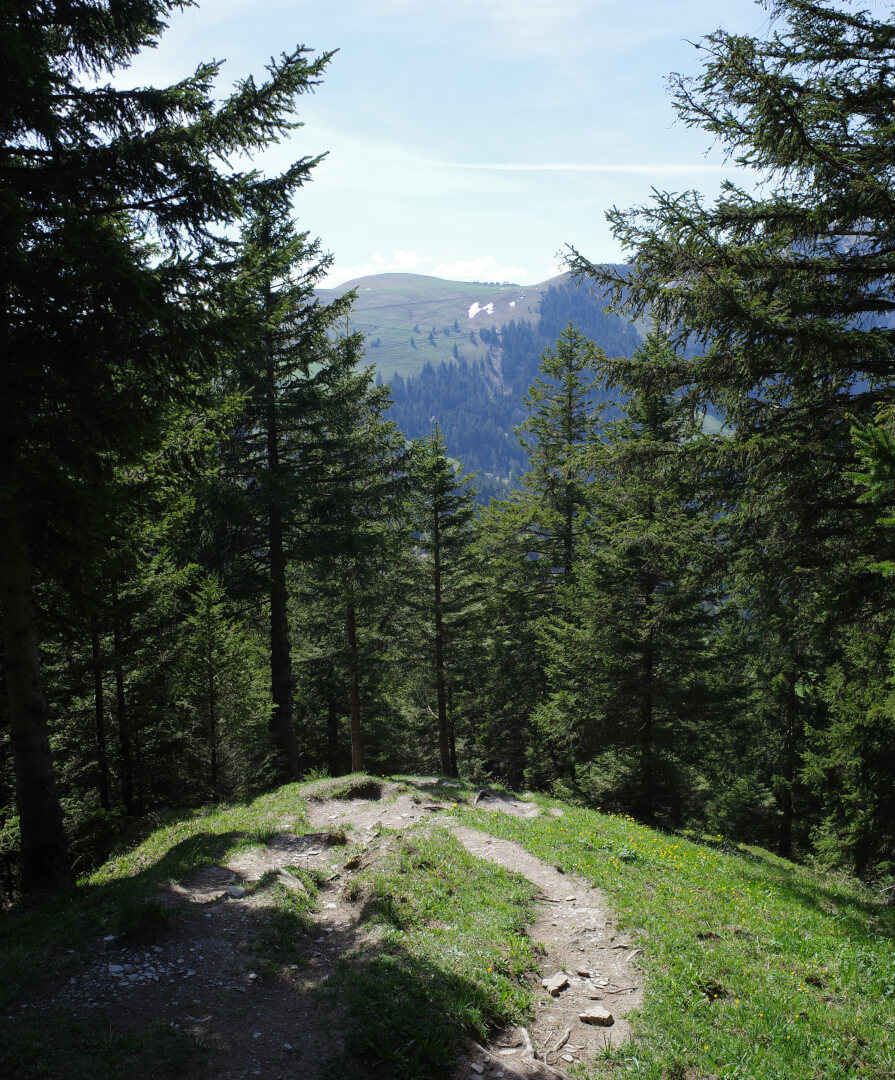 Wanderweg Fähnerenspitz