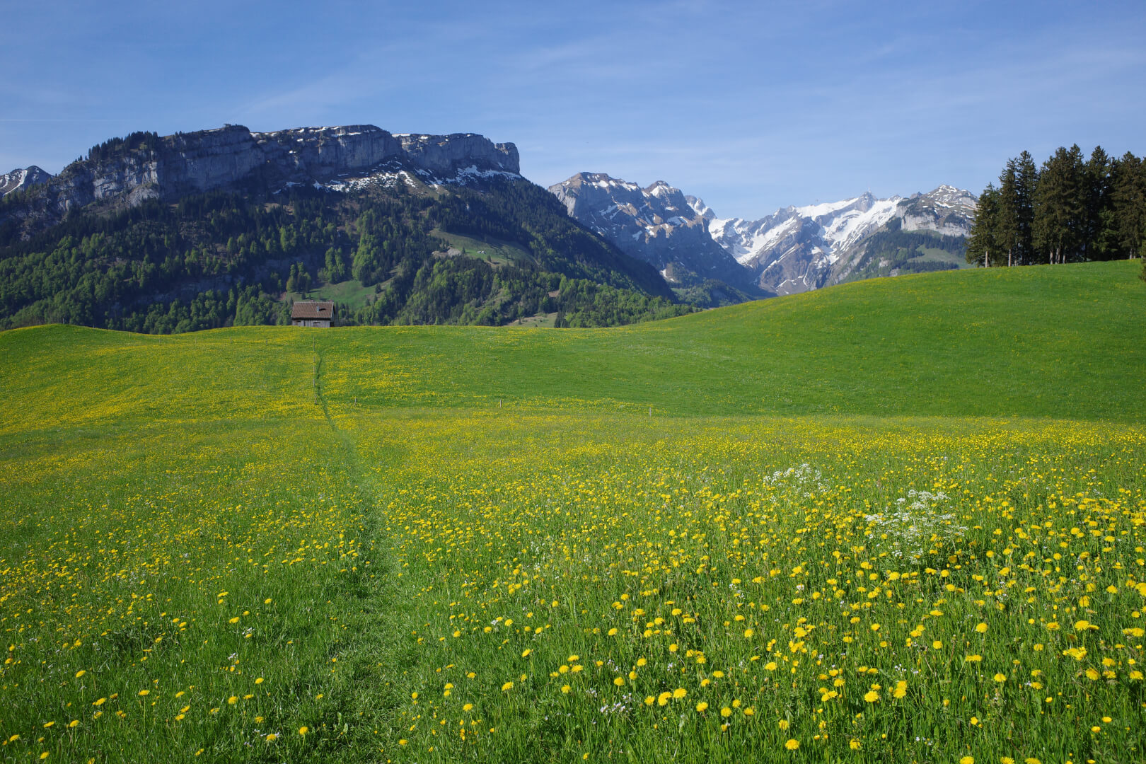 Wiesenweg