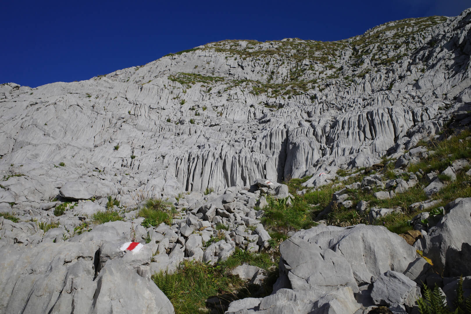 Bergweg durch Karst