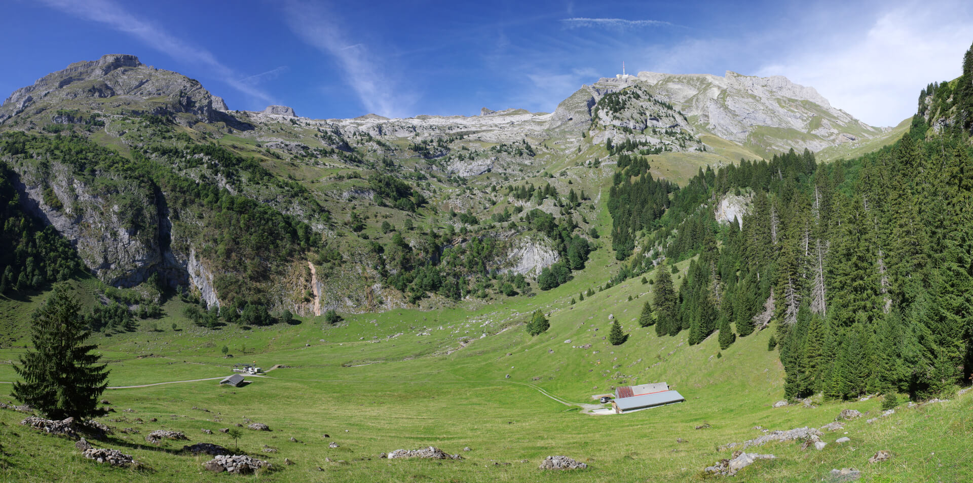 Thurwis mit Säntis