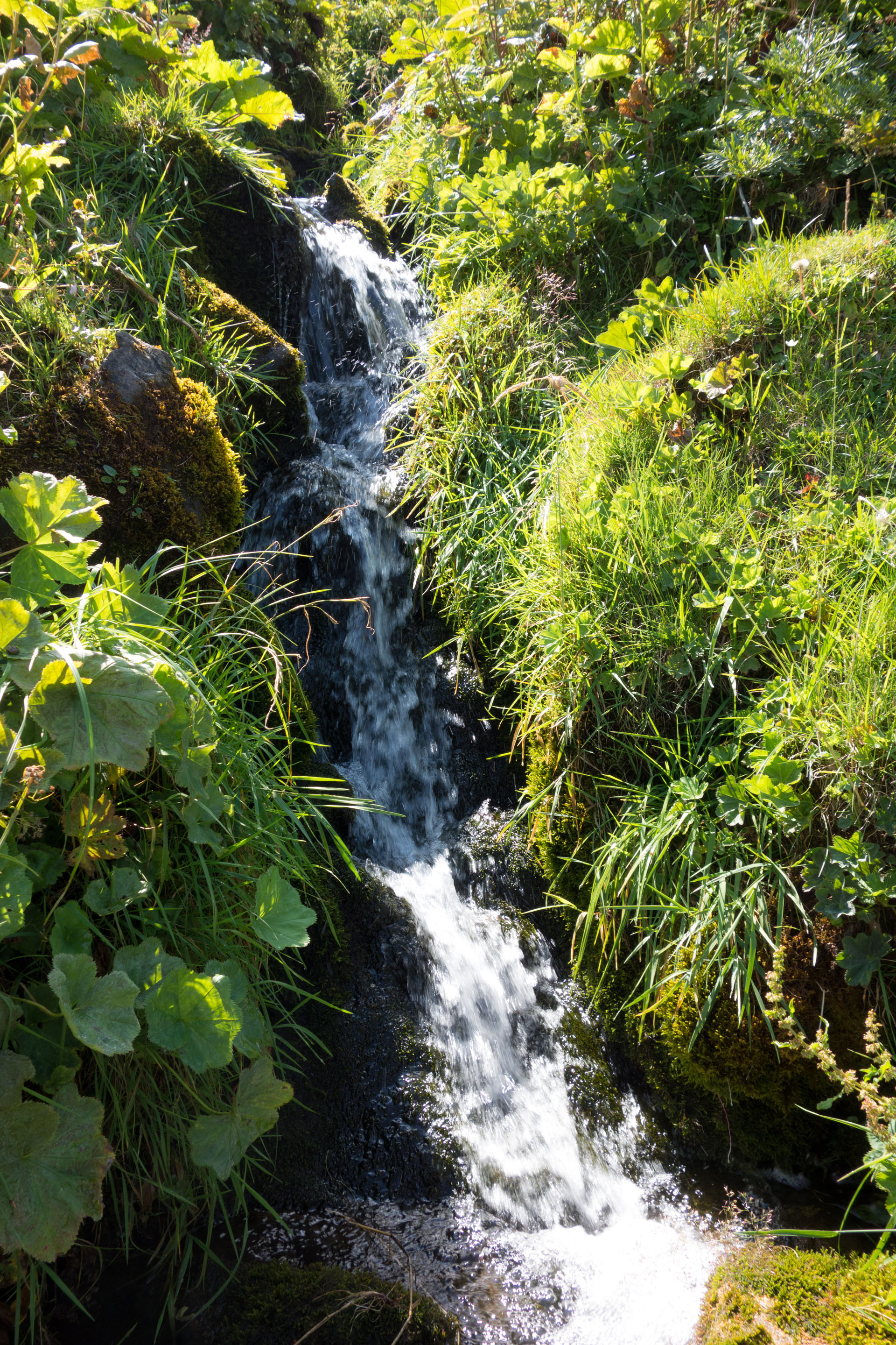 Kleiner Bergbach