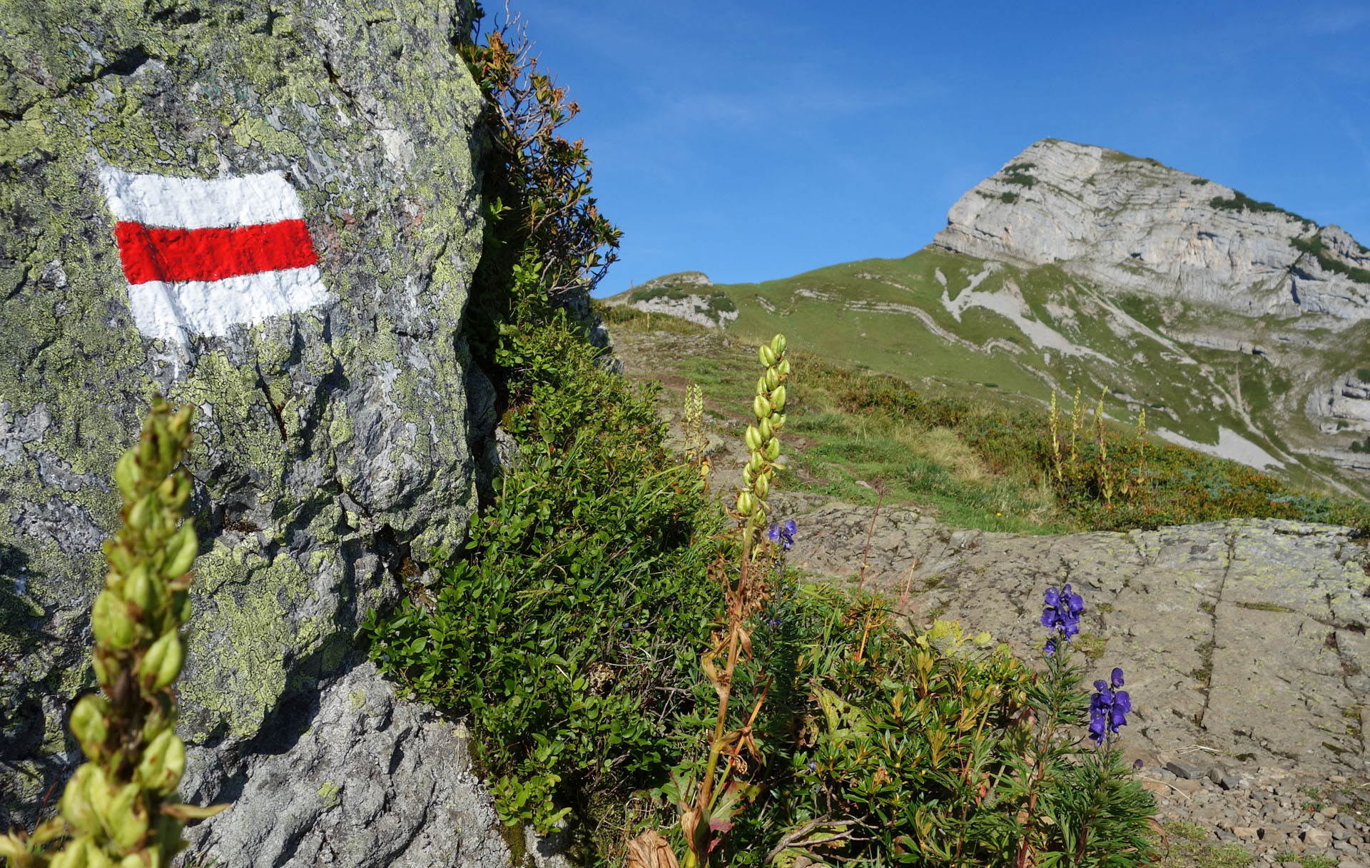 Wanderweg Margelchopf