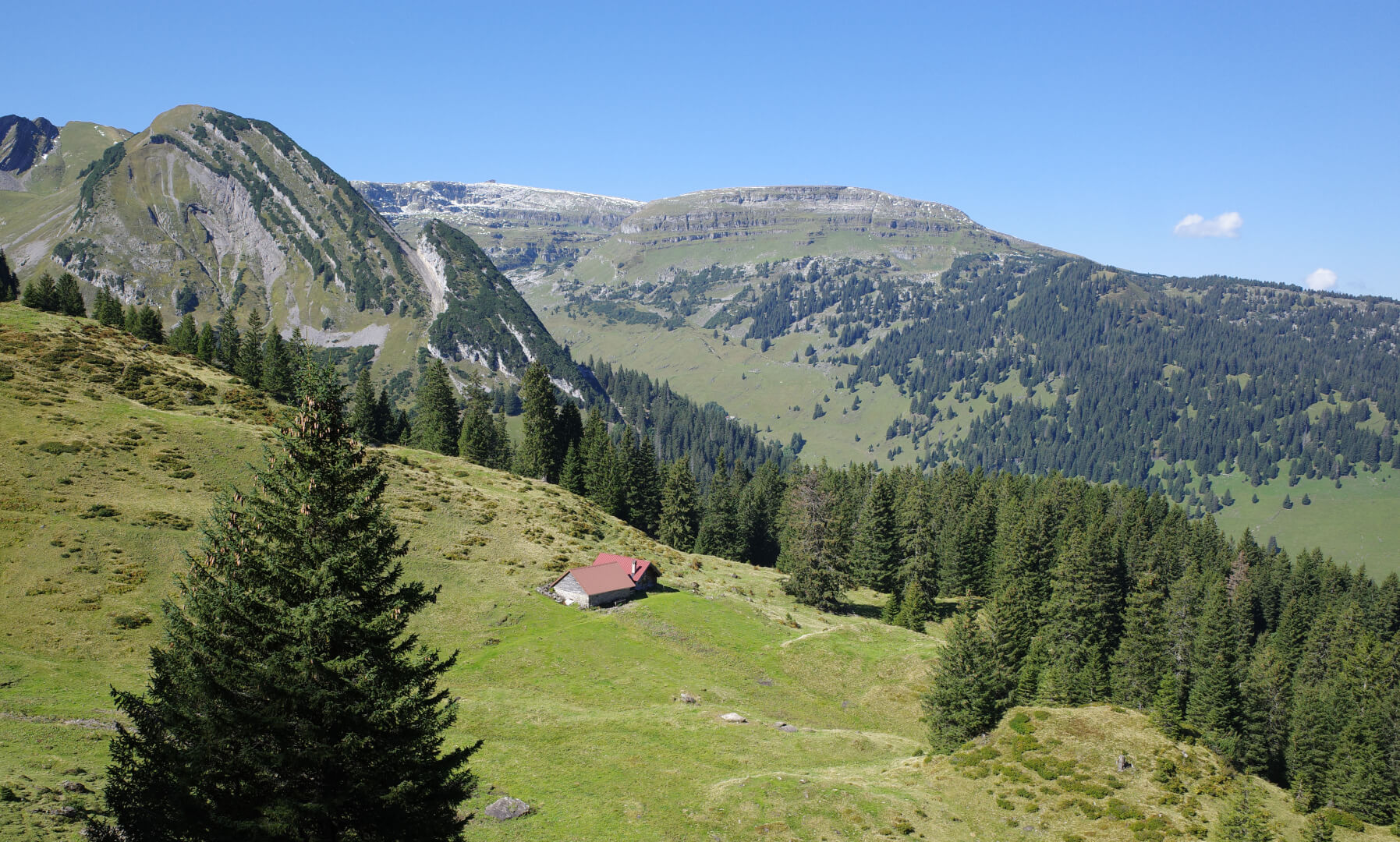 Alp Unter Länggli