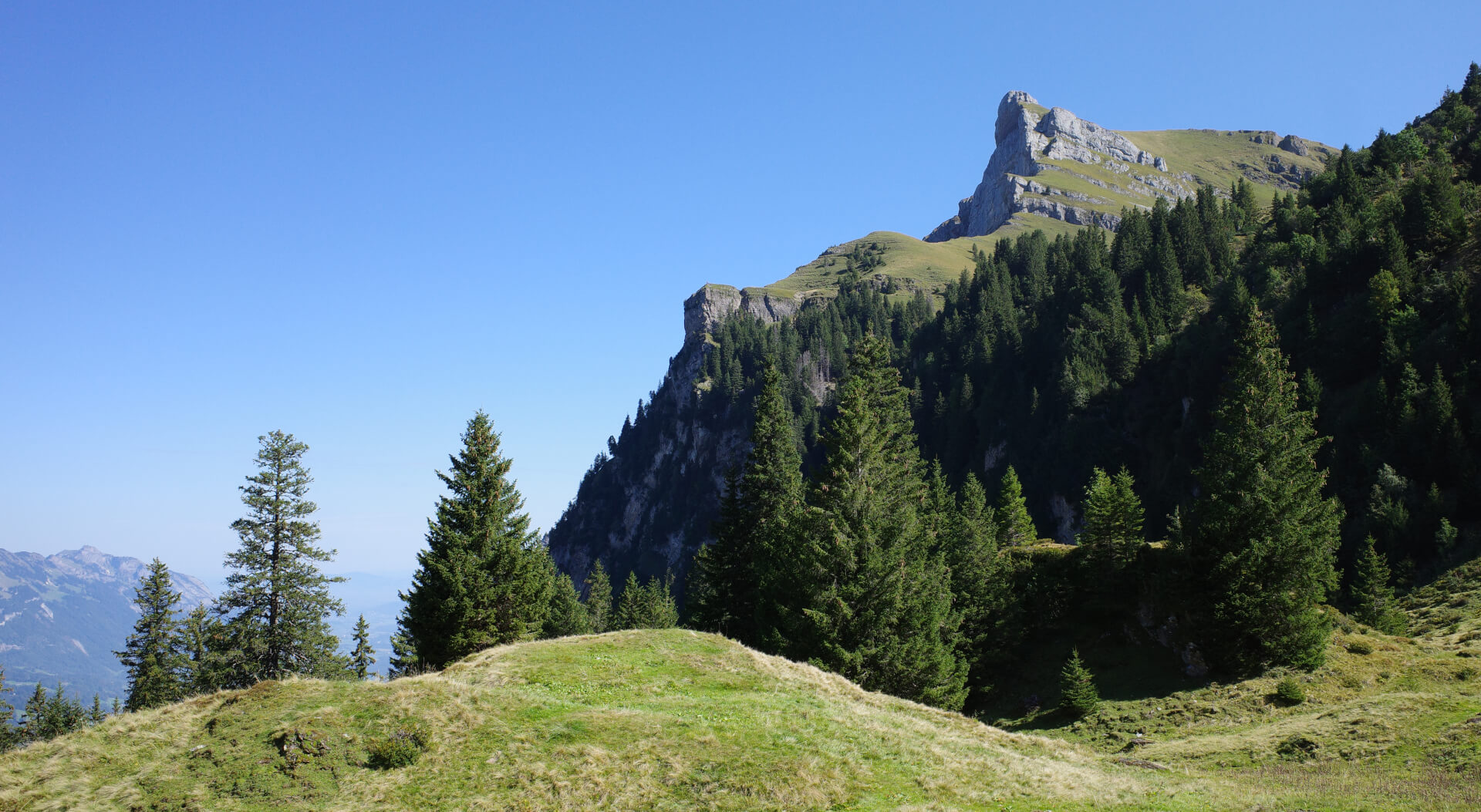 Schlösslichopf und Chapf