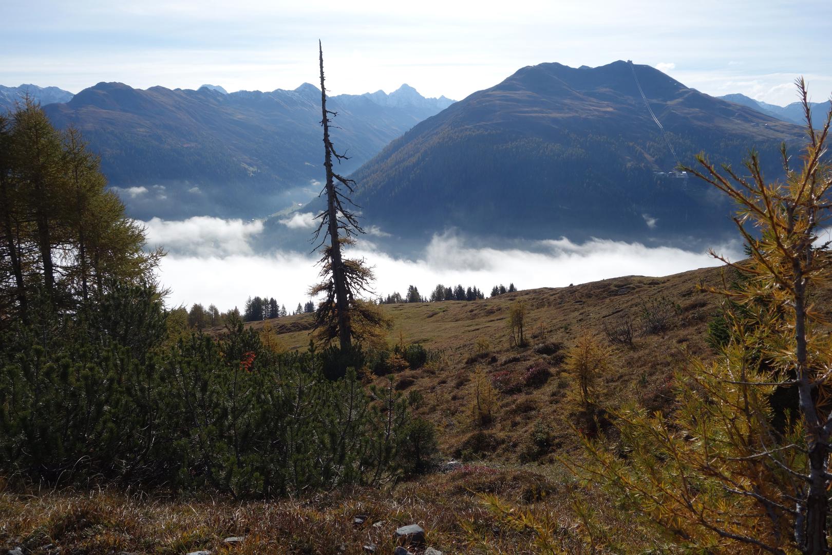 Blick zum Jakobshorn