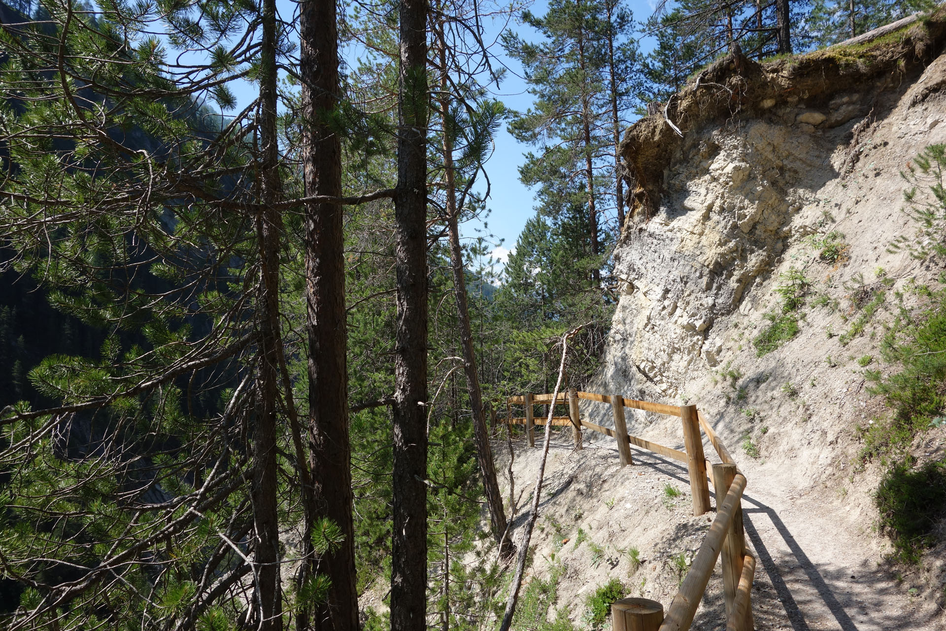 Wanderweg Wiesen Bärentritt