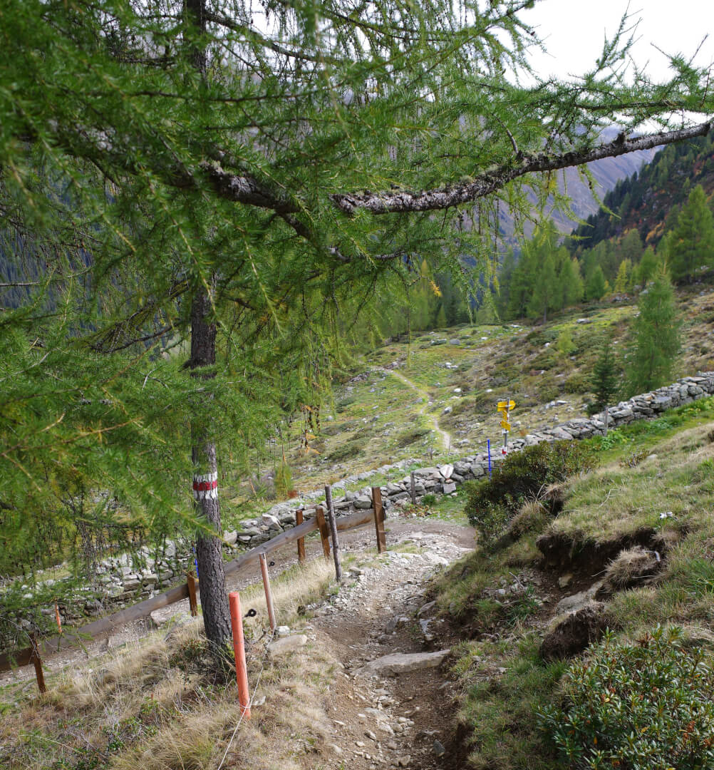 Wanderweg Alp Stillberg