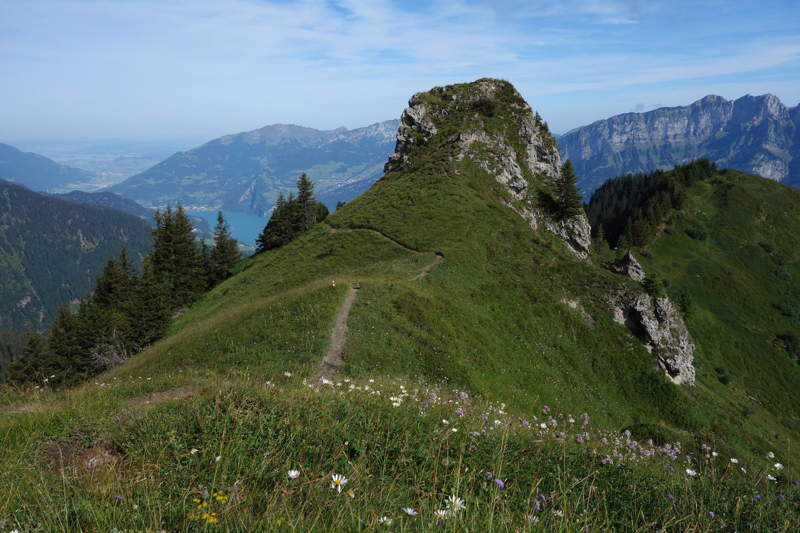 Kleiner Güslen