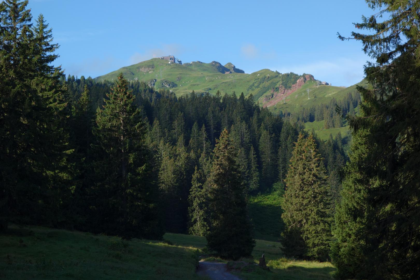 Spazierweg zur Seebenalp