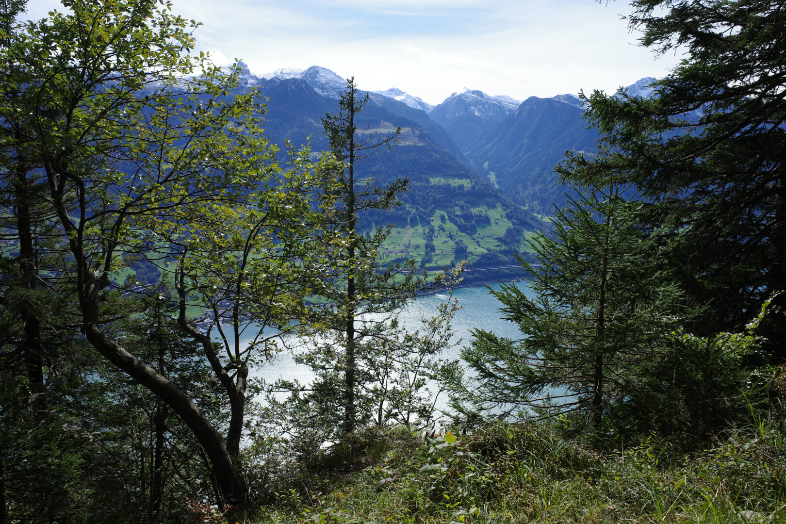 Aussichtspunkt Rütiwald