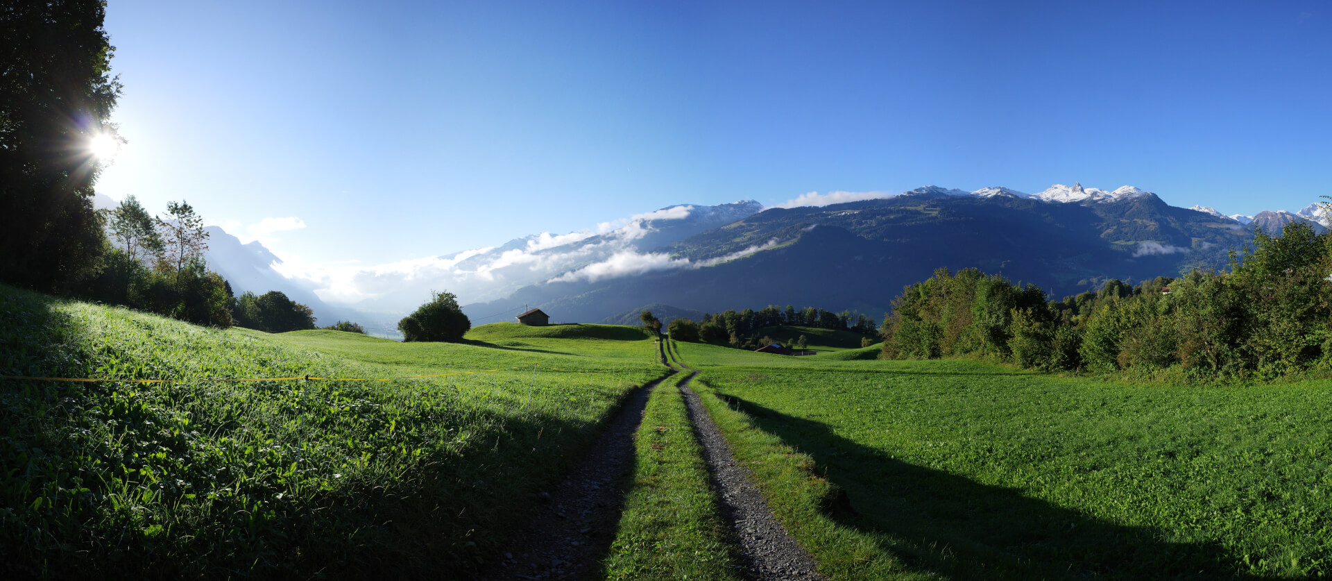 Feldweg im Morgenlicht