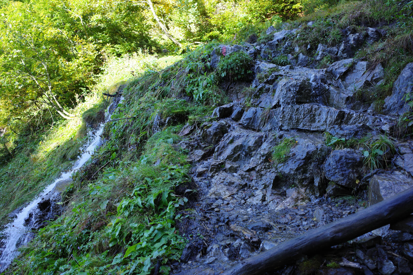 Wasser auf Wanderweg