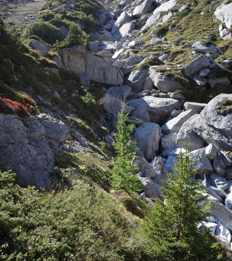 Bach durch Felsen