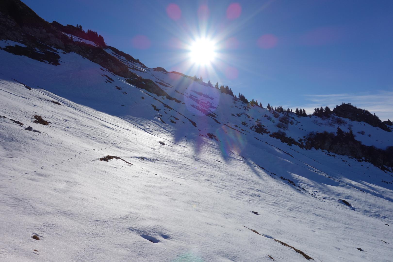 Einsame Spur im Schnee