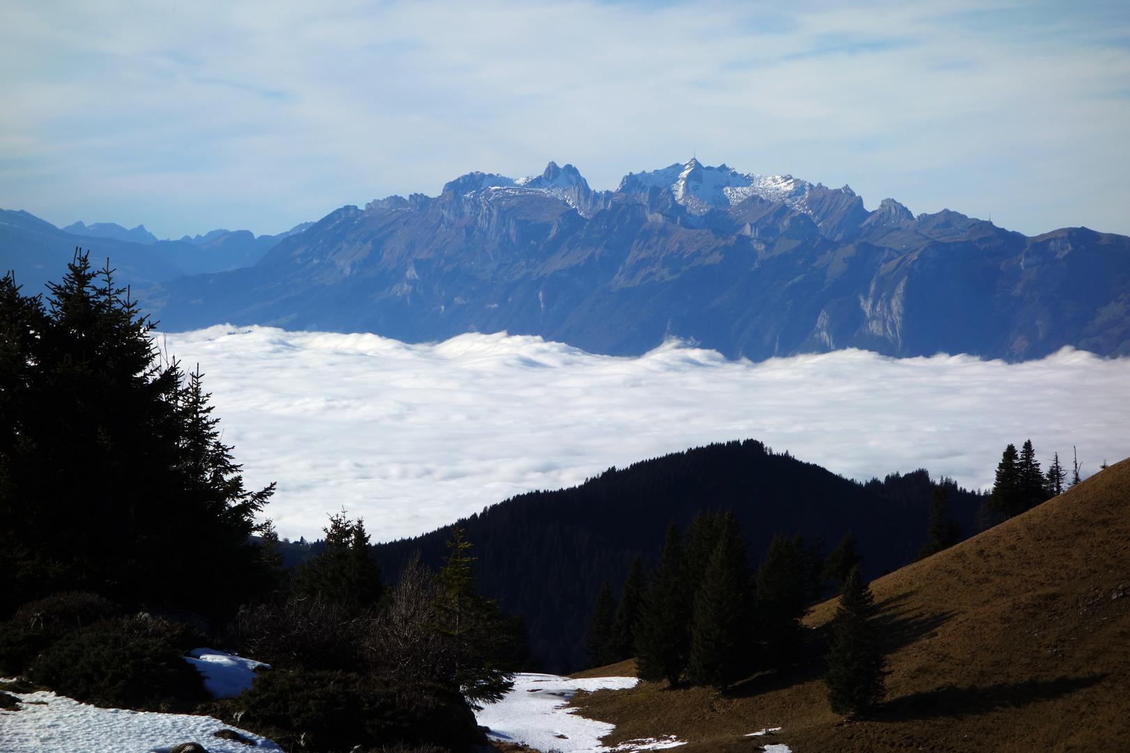 Tele zum Alpstein