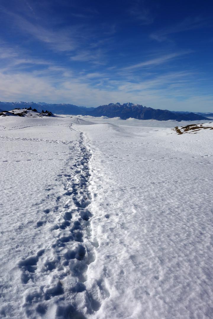 Wanderweg über Schneefläche