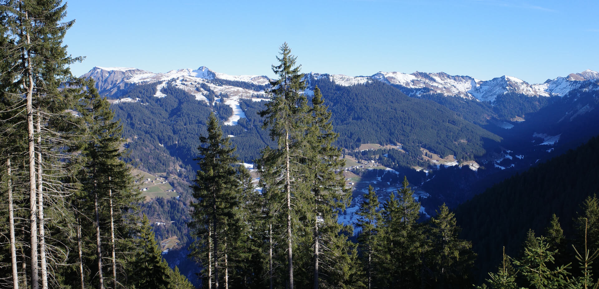Laternser Tal