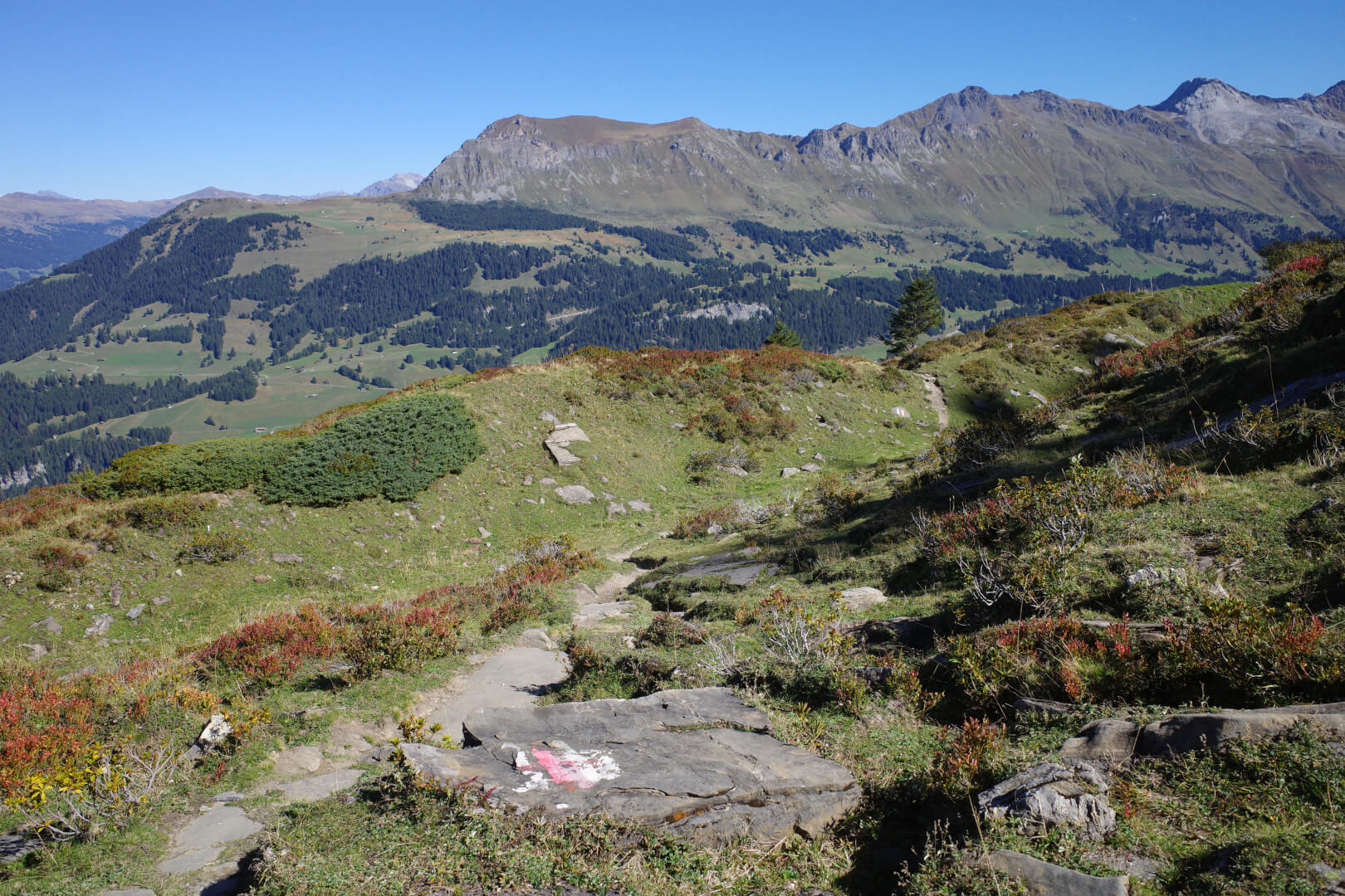 Bergweg Pradaschier