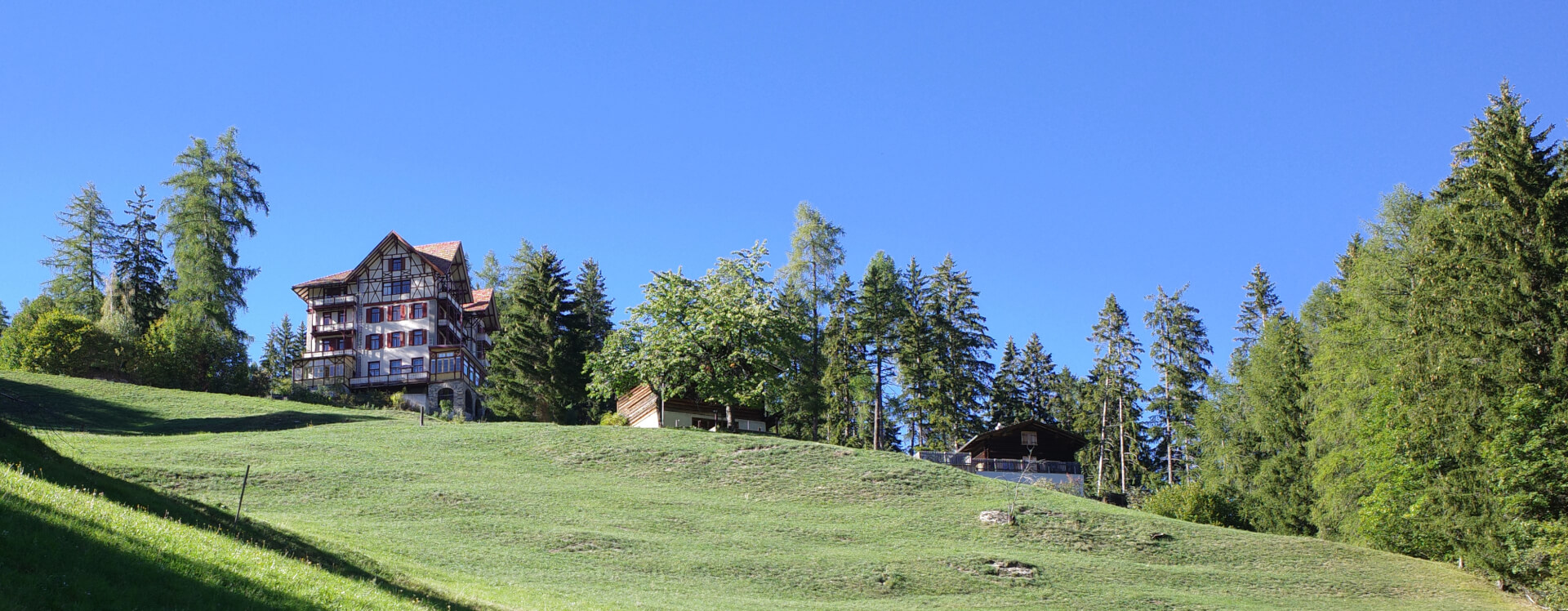 Waldhotel Pradaschier