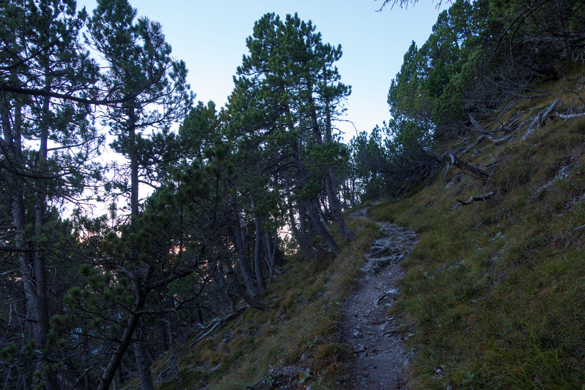 Wanderweg Gaflei