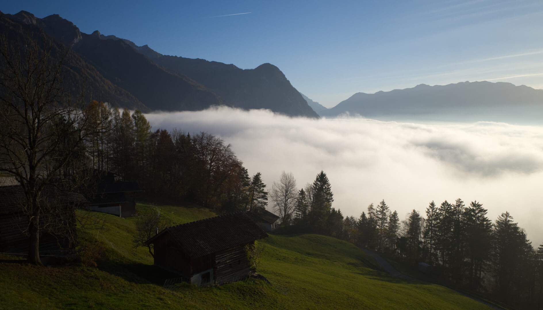 Nebelmeer im Rheintal