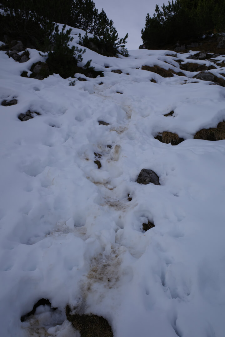 Spuren im Schnee
