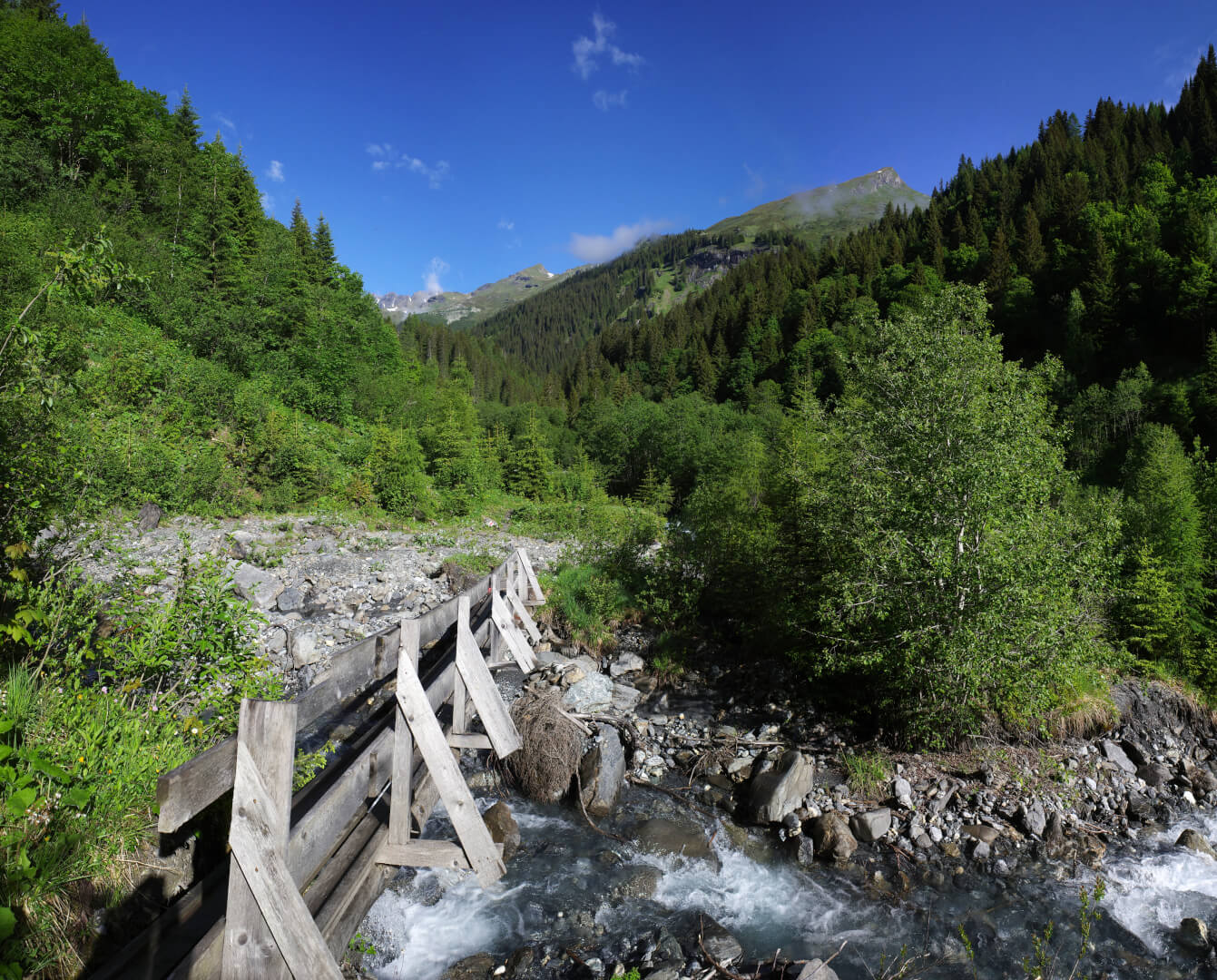 Holzbrücke