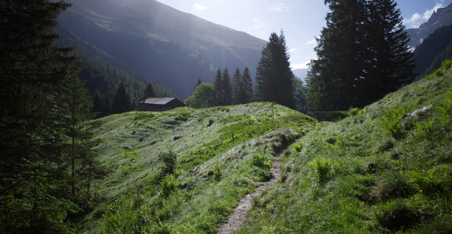 Tüfwald