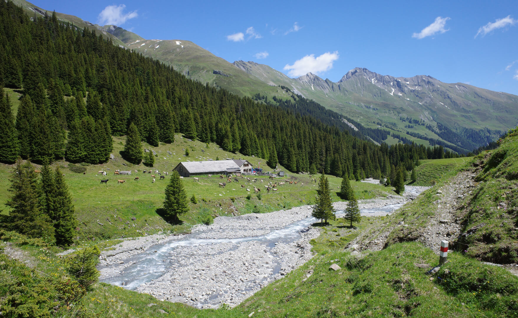 Wanderung Alp Sardona