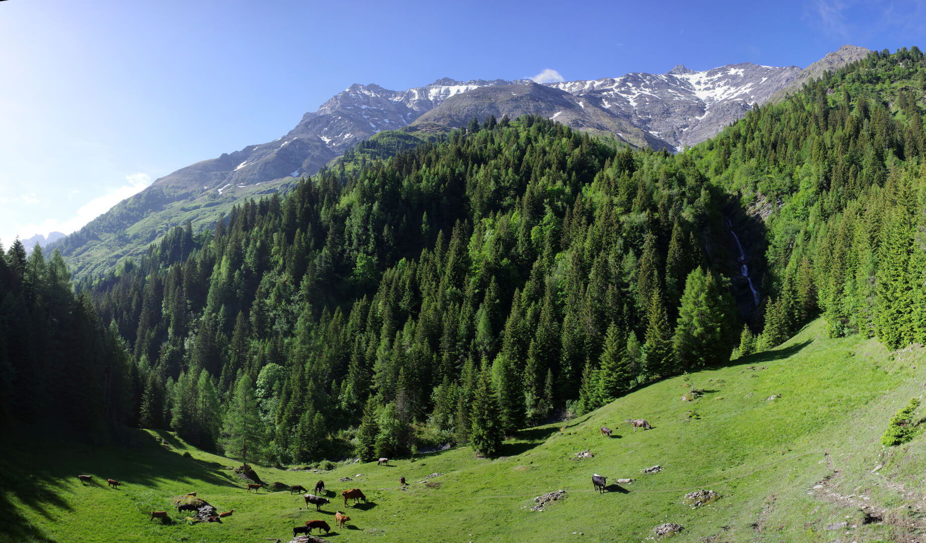 Wanderung Calfeisen