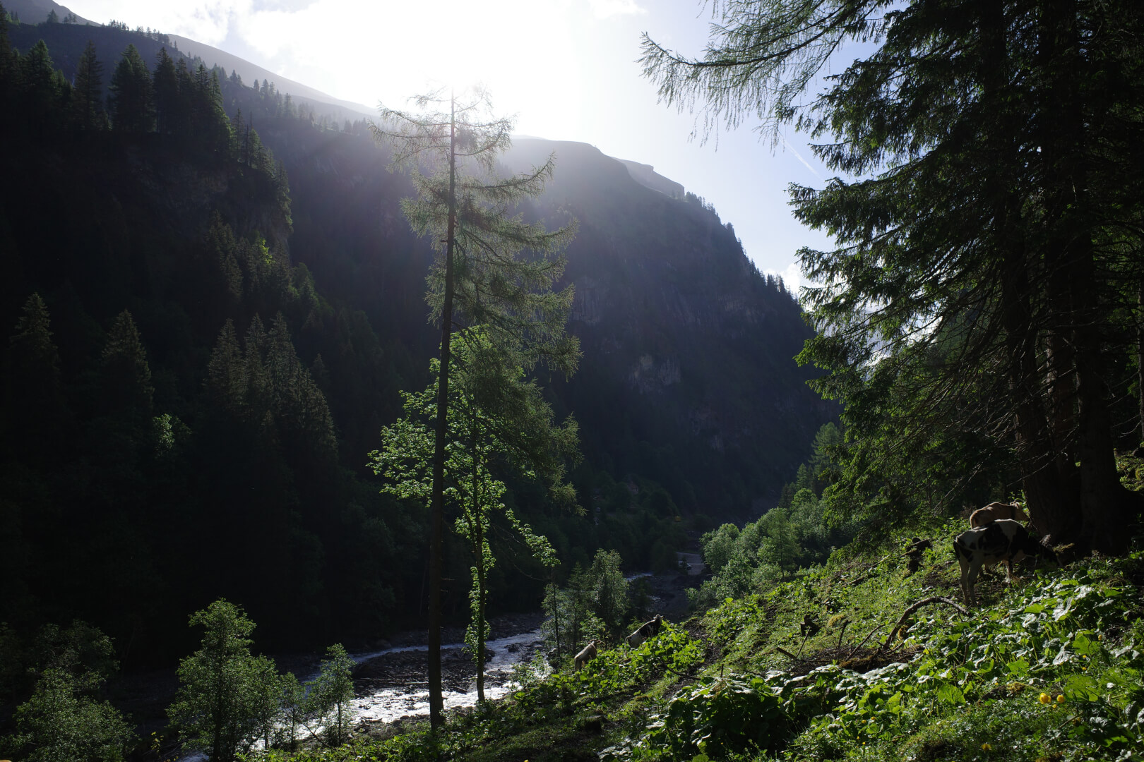 Wanderung St. Martin